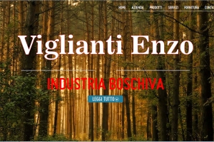 Viglianti Enzo - Industria Boschiva